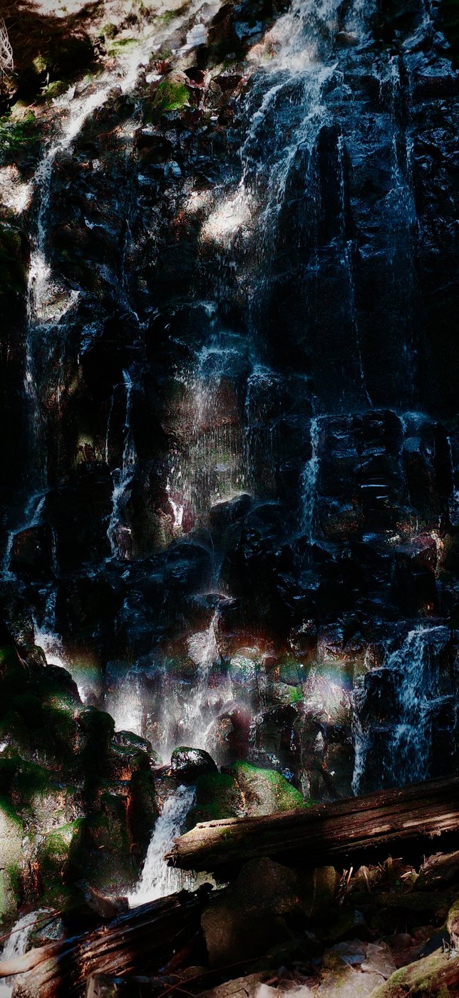 Pacific NW, photograph 150