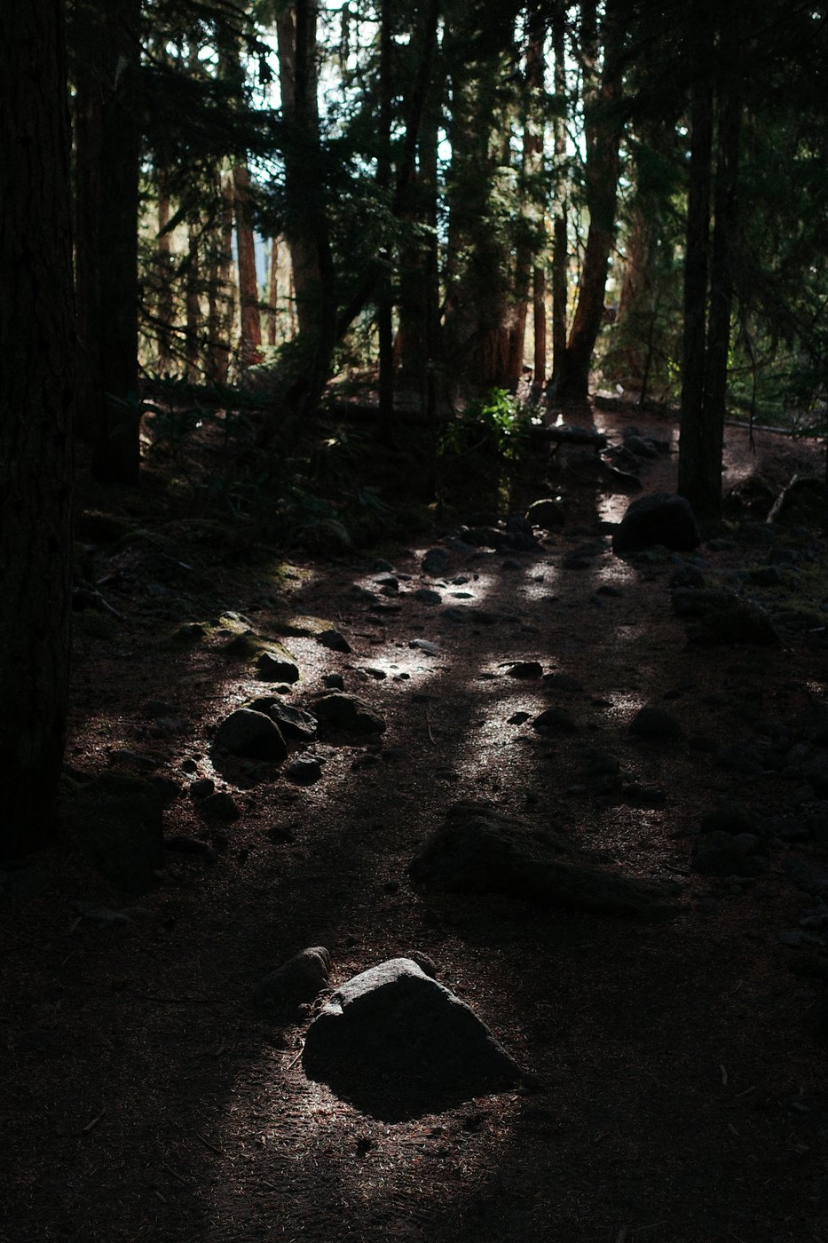 Pacific NW, photograph 154