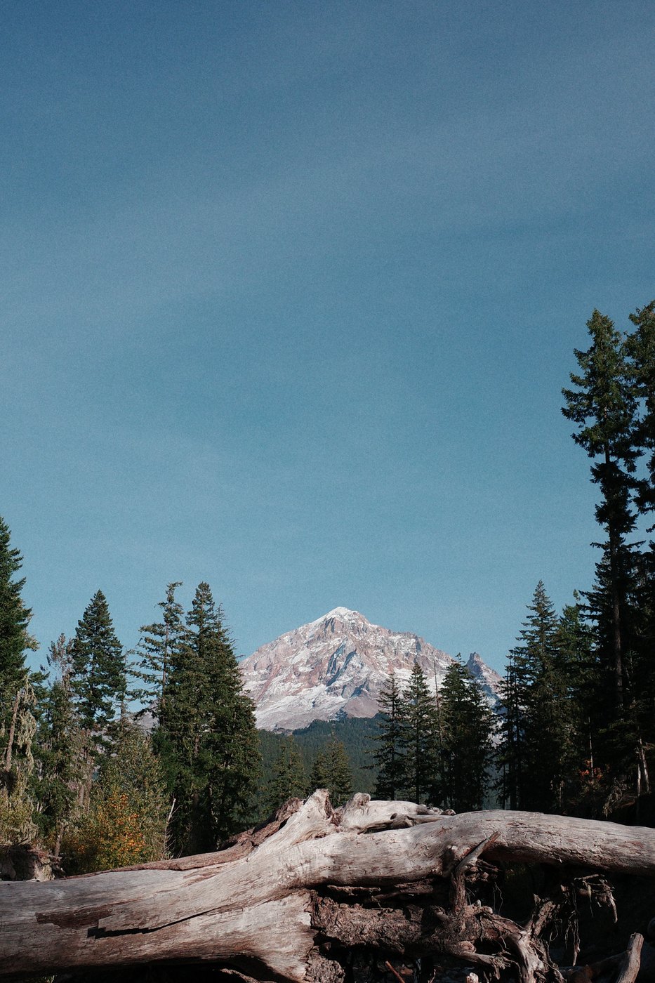 Pacific NW, photograph 155