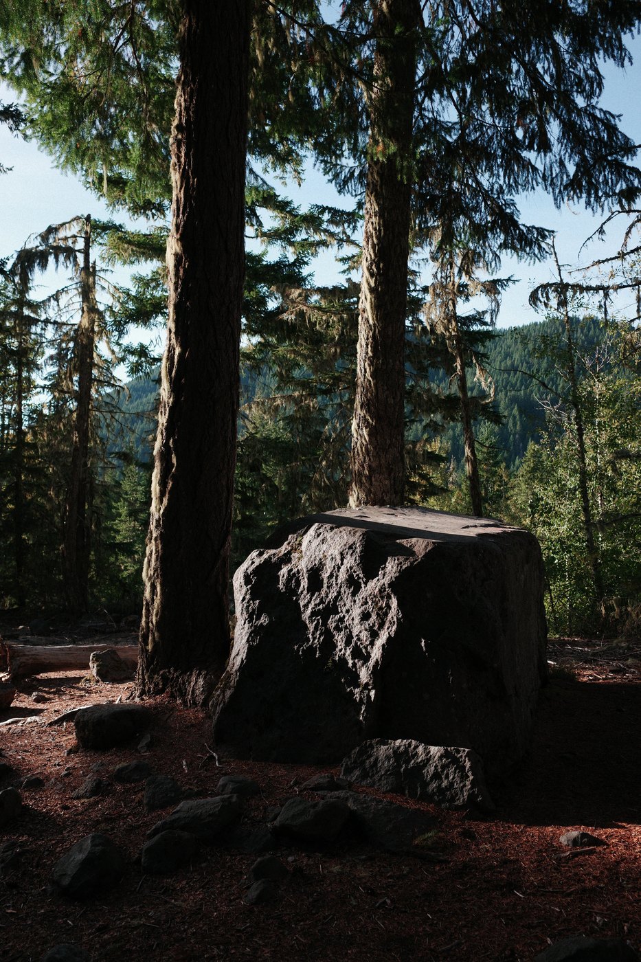 Pacific NW, photograph 156
