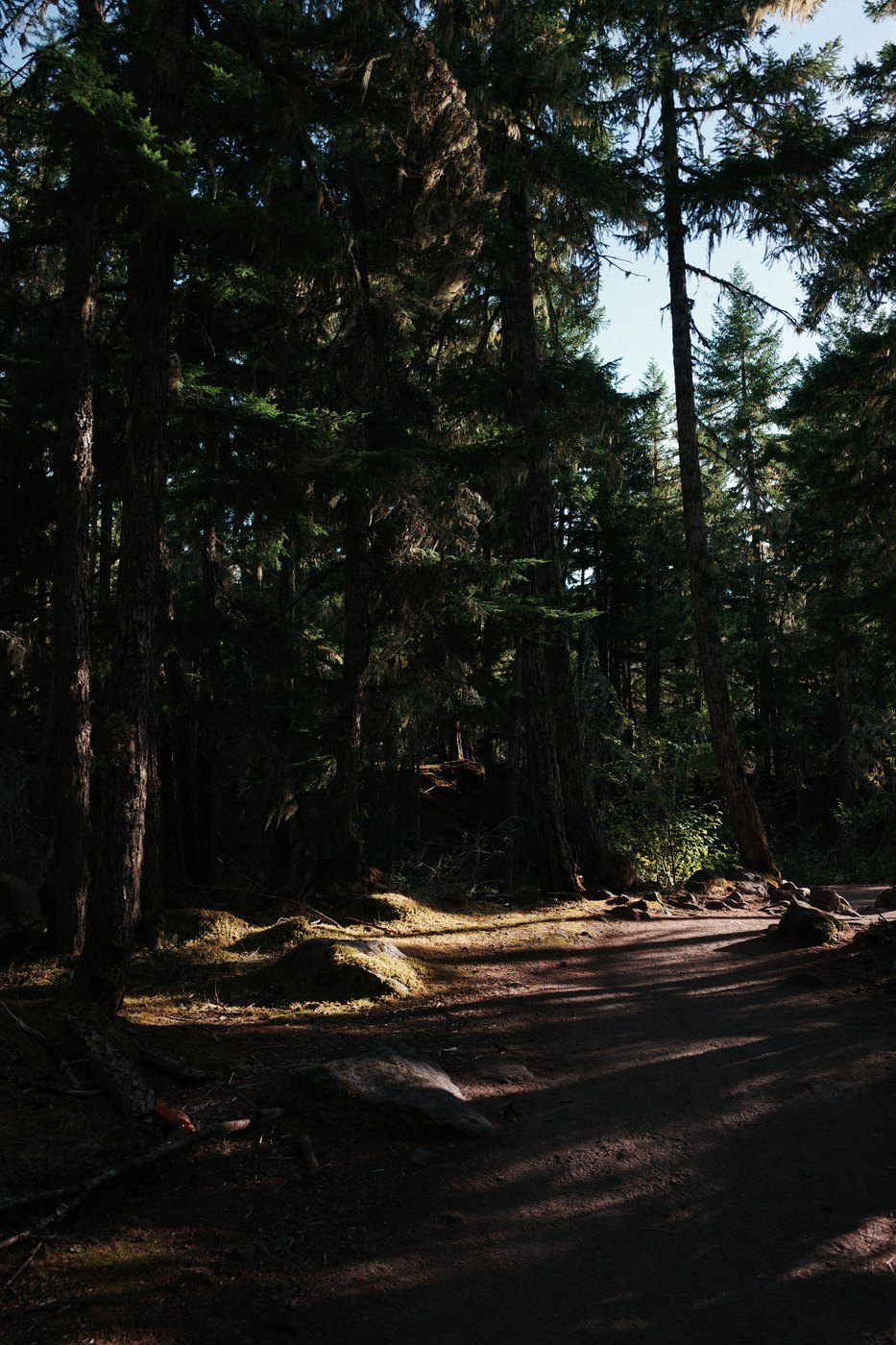 Pacific NW, photograph 157