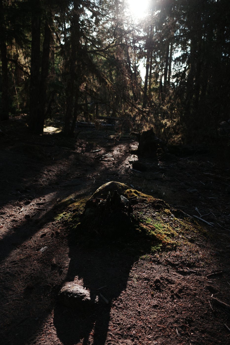 Pacific NW, photograph 158