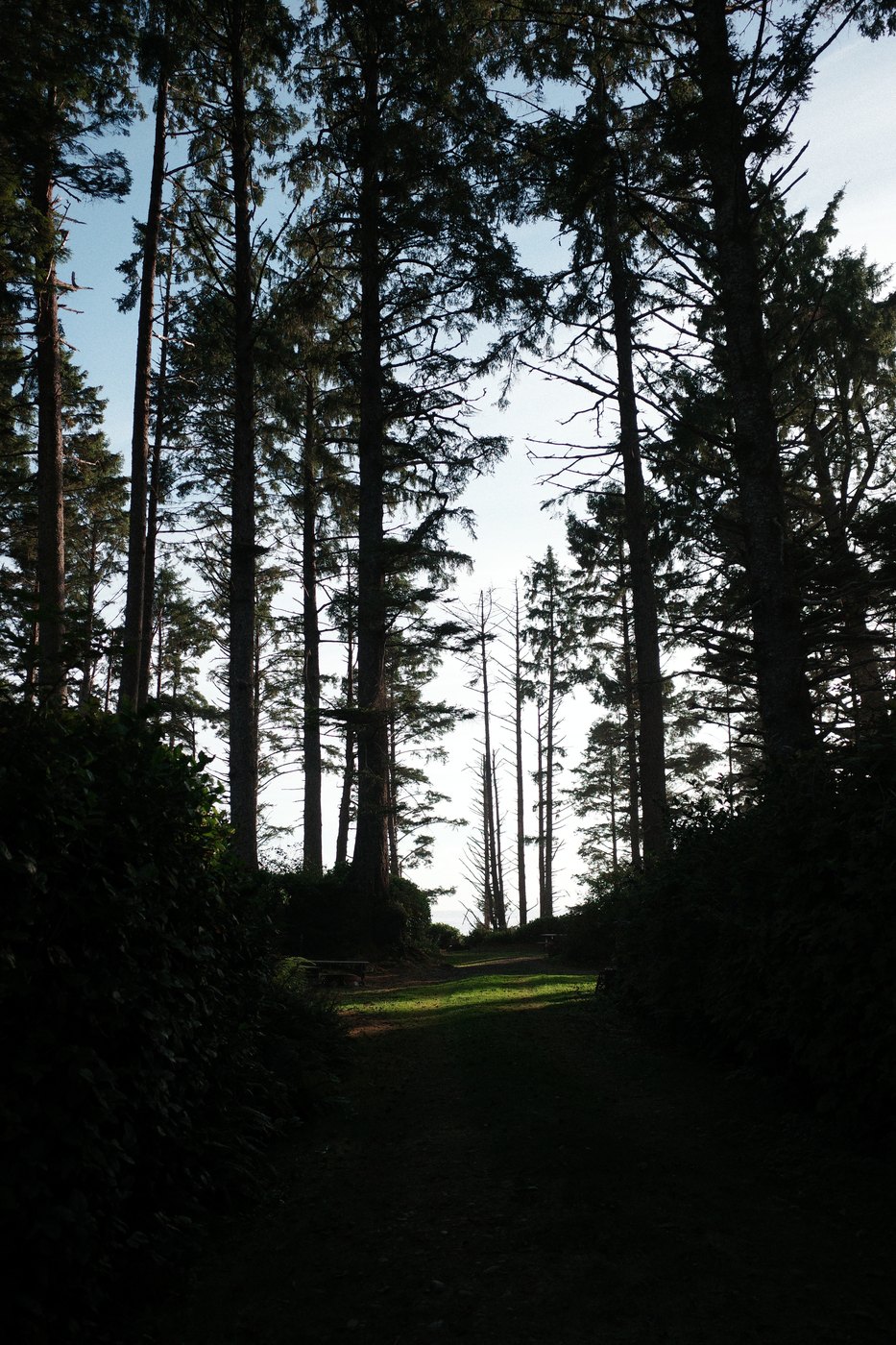 Pacific NW, photograph 17