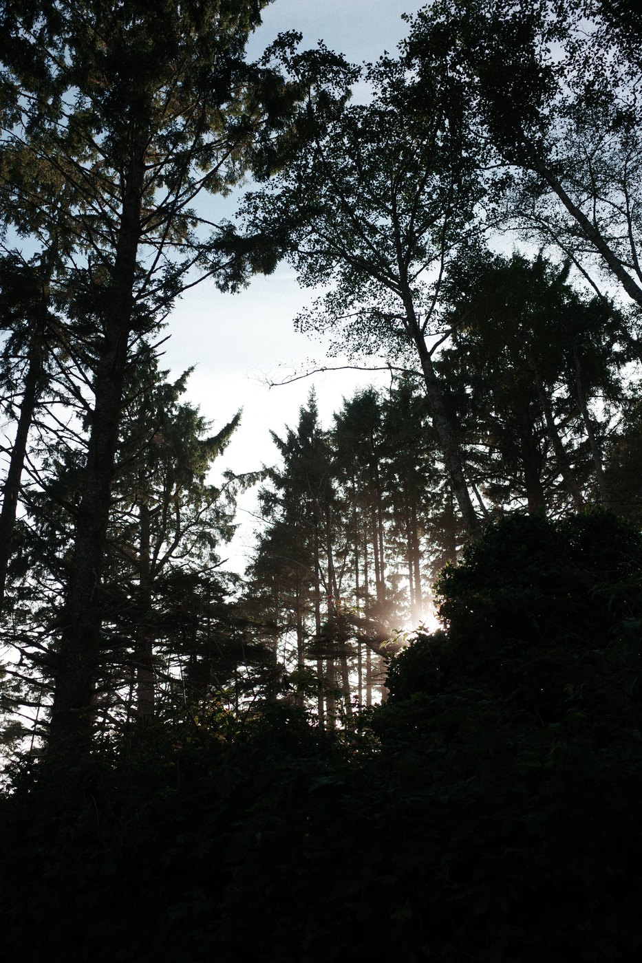 Pacific NW, photograph 18