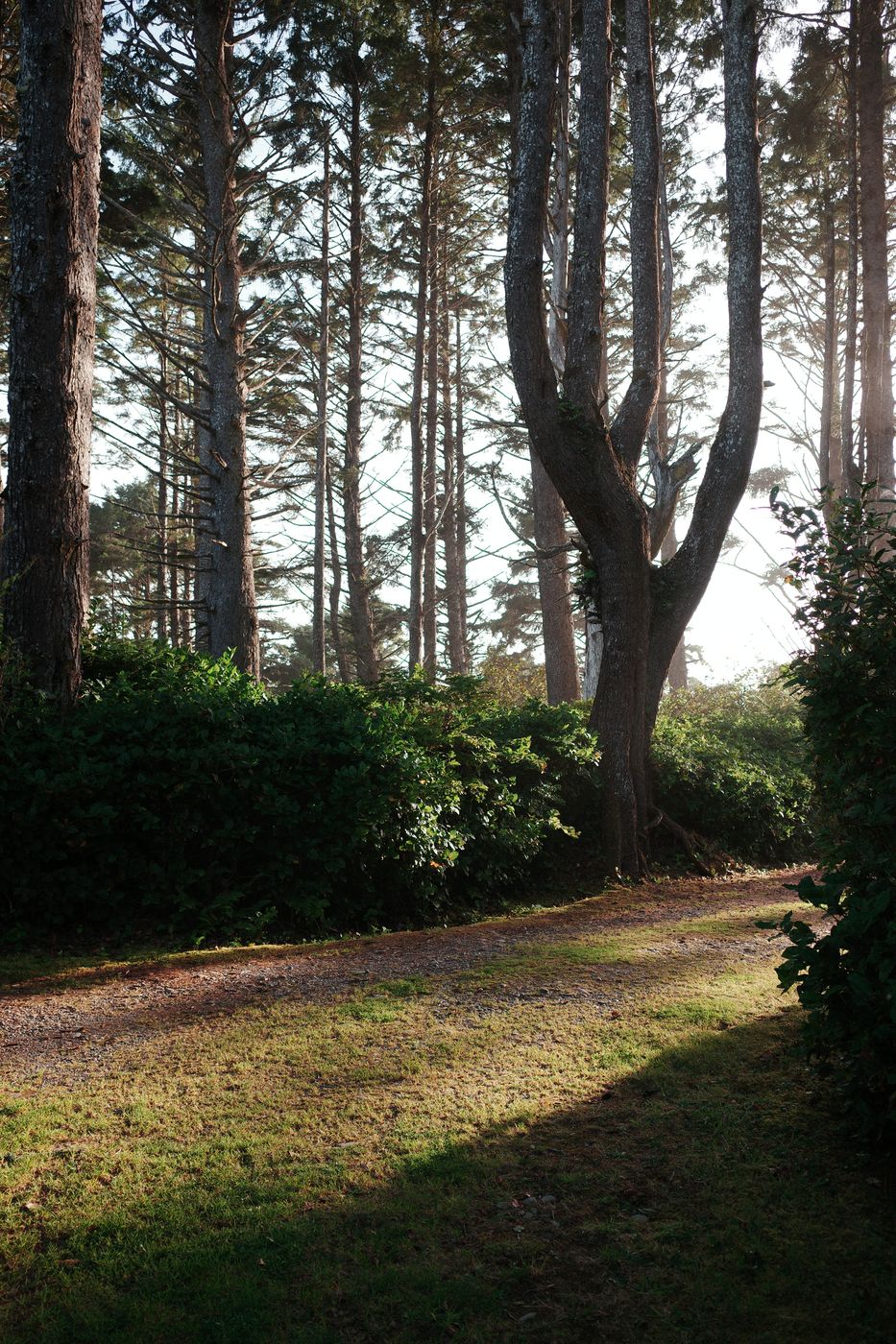 Pacific NW, photograph 19