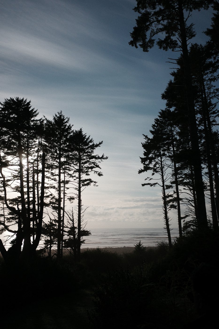 Pacific NW, photograph 21