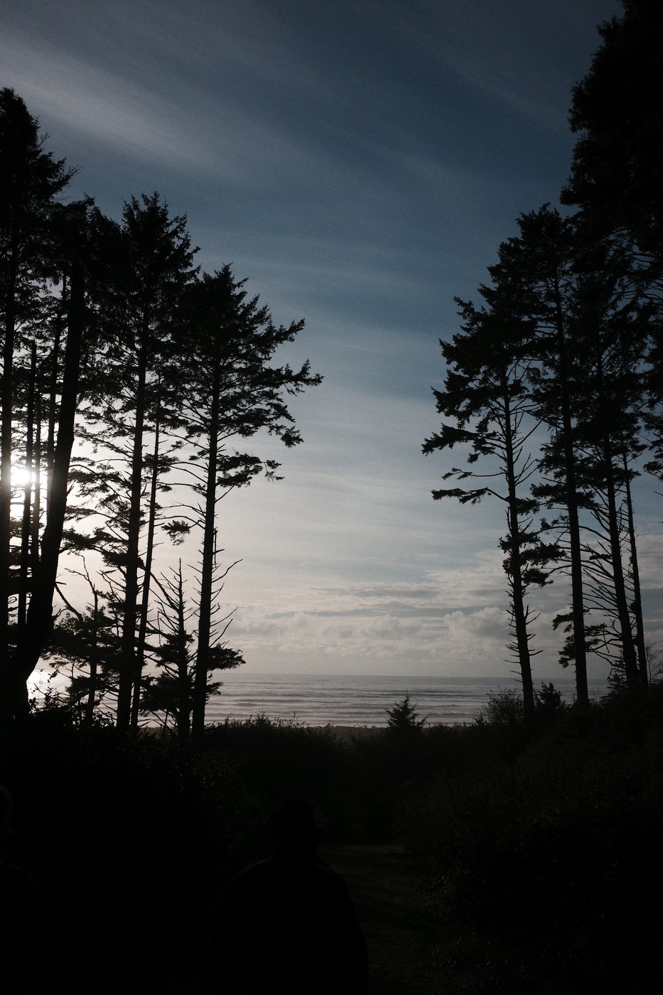 Pacific NW, photograph 22
