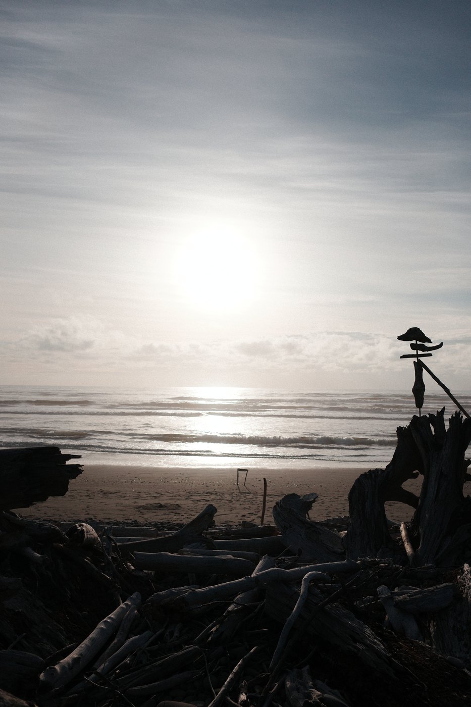 Pacific NW, photograph 23
