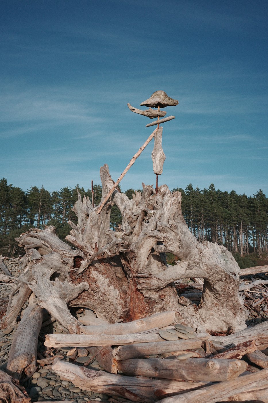 Pacific NW, photograph 26