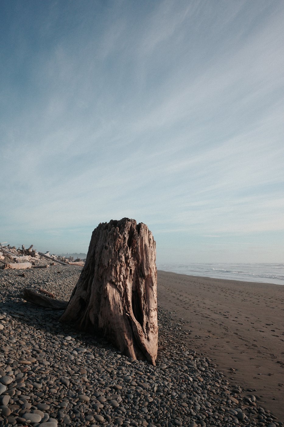 Pacific NW, photograph 27