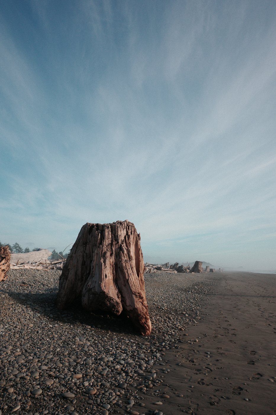 Pacific NW, photograph 30