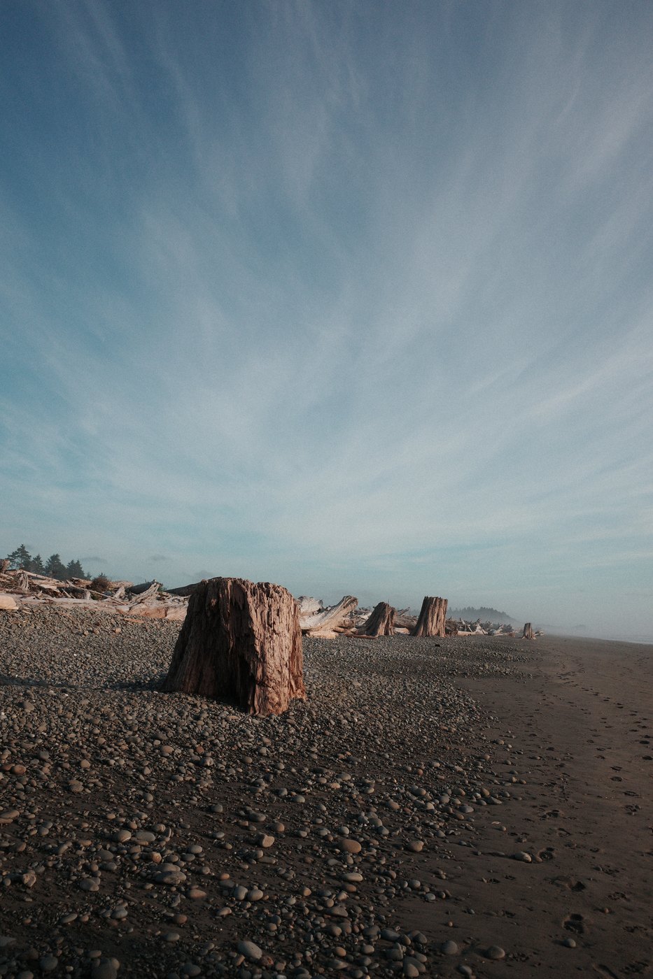 Pacific NW, photograph 31
