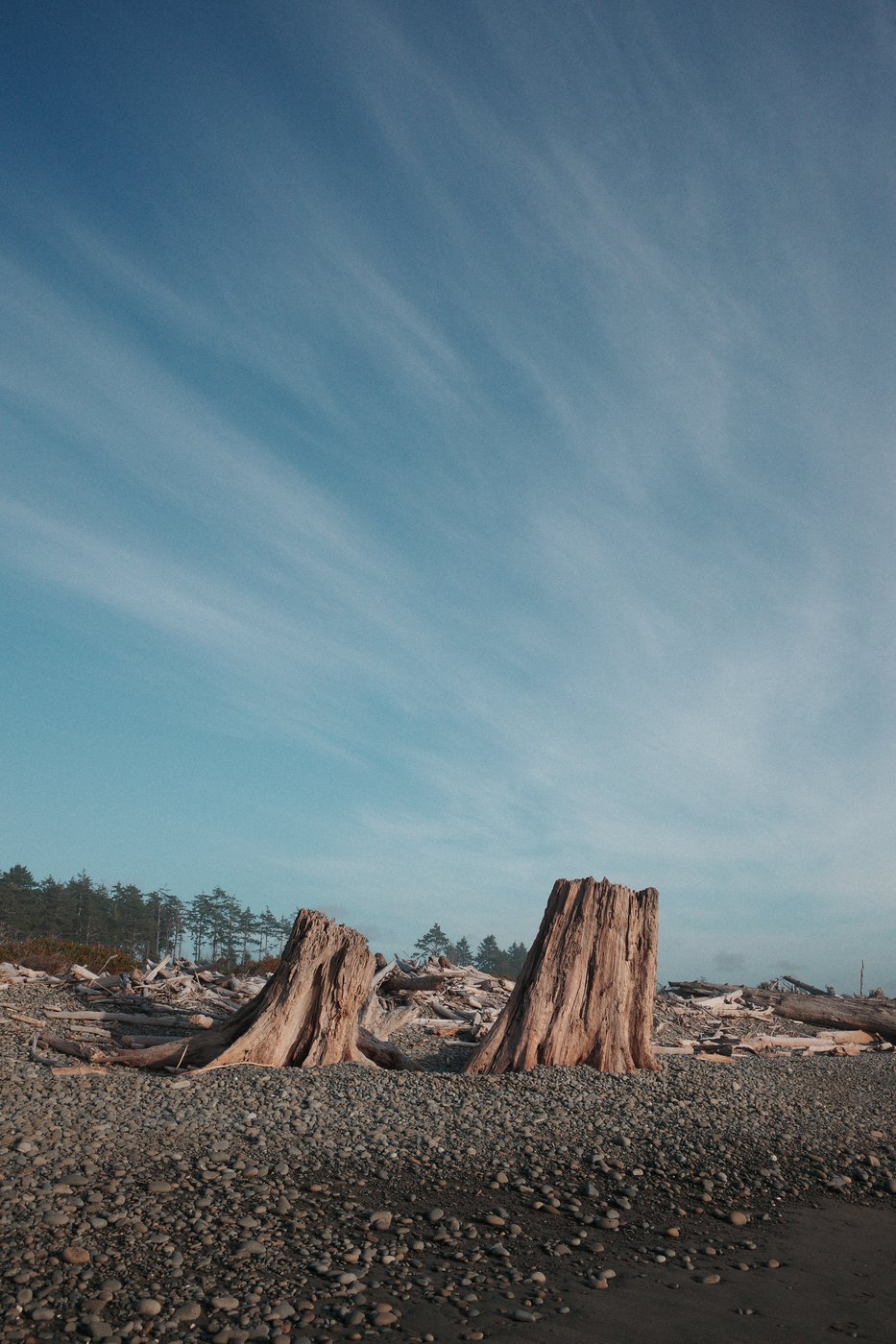 Pacific NW, photograph 33