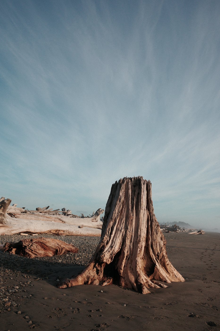 Pacific NW, photograph 37