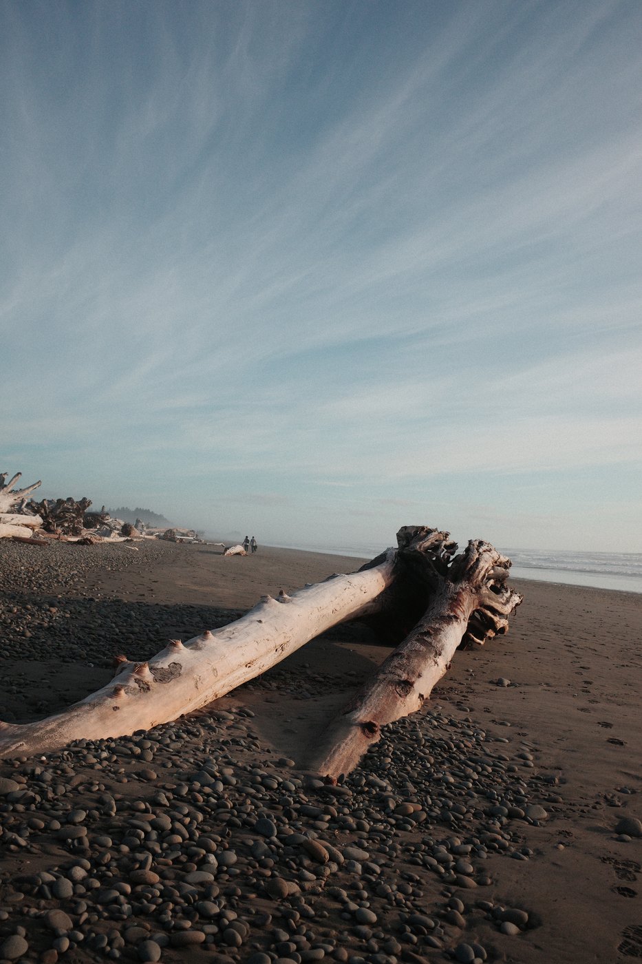 Pacific NW, photograph 38