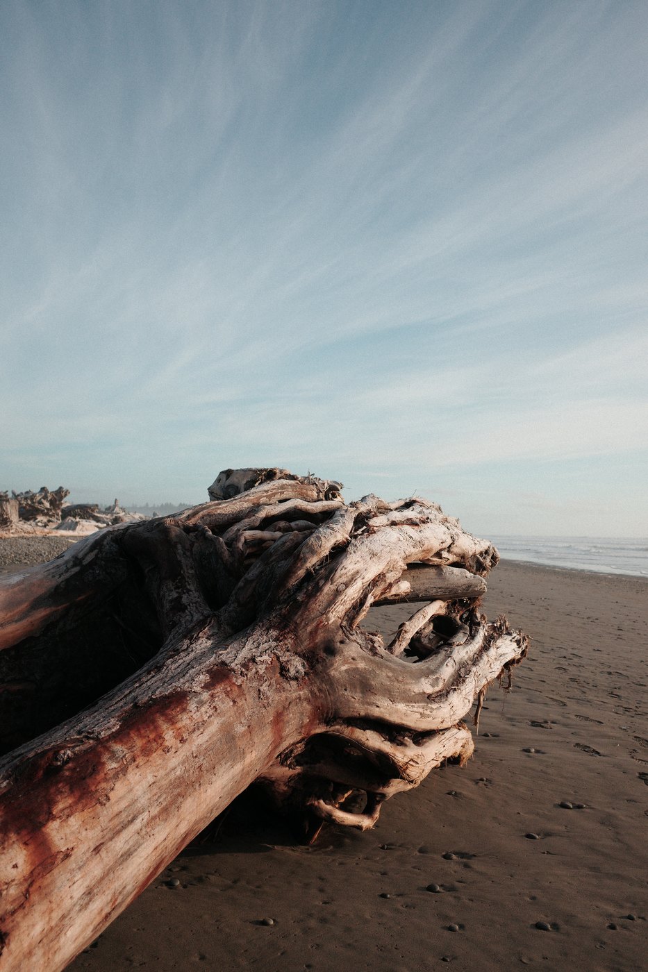 Pacific NW, photograph 39