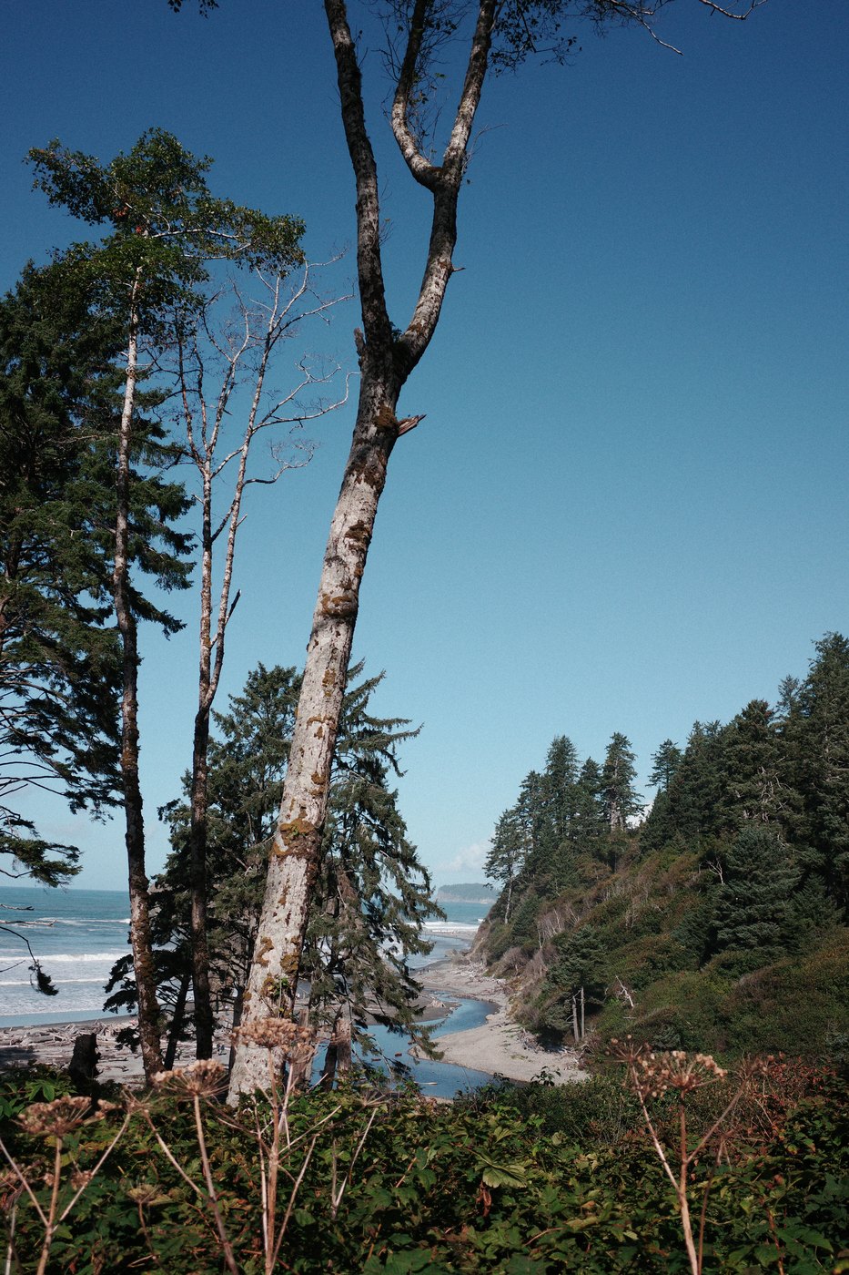 Pacific NW, photograph 40