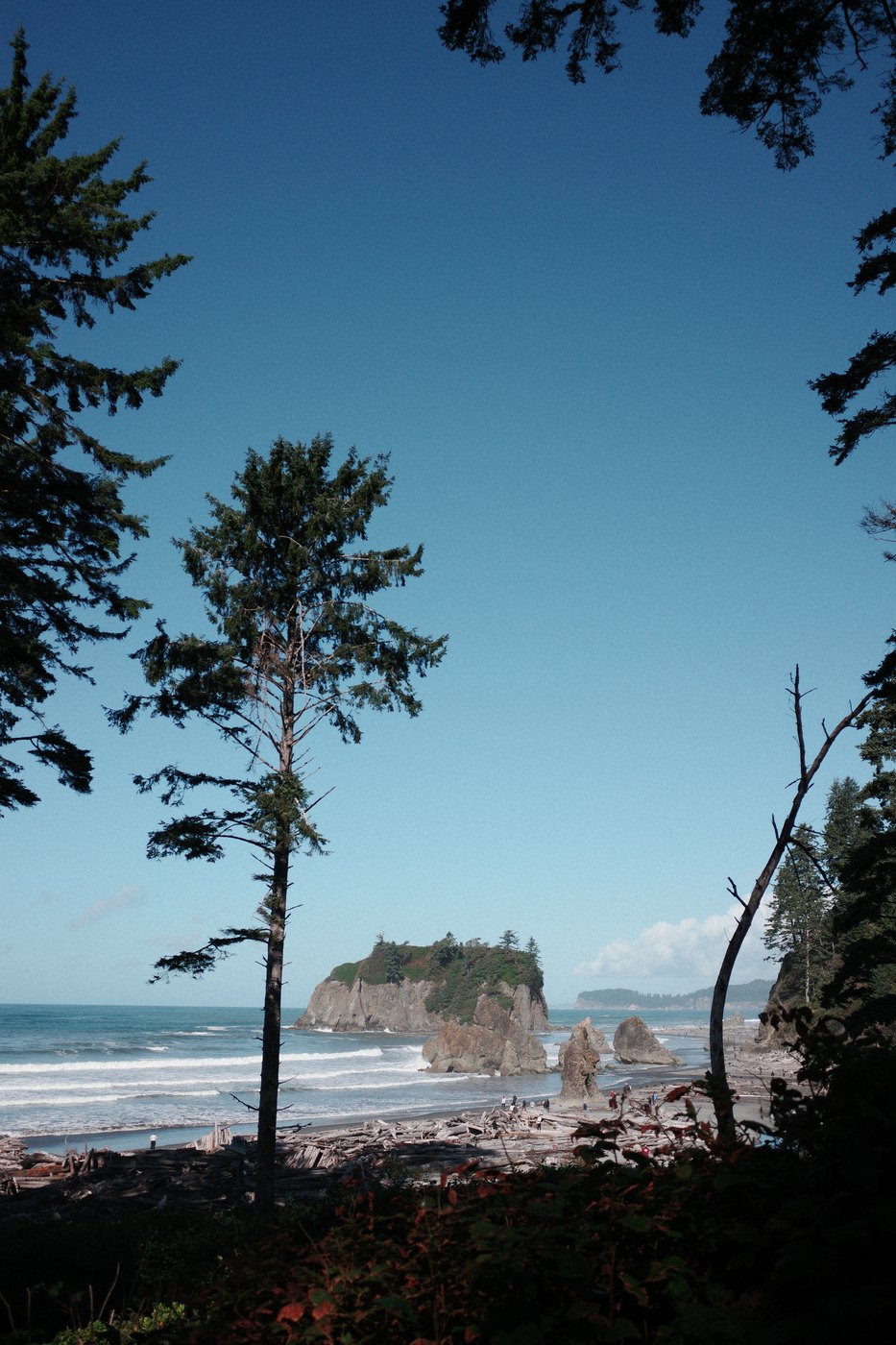 Pacific NW, photograph 41