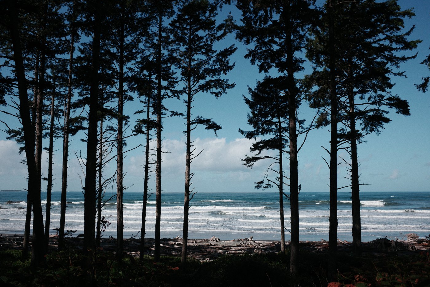 Pacific NW, photograph 42