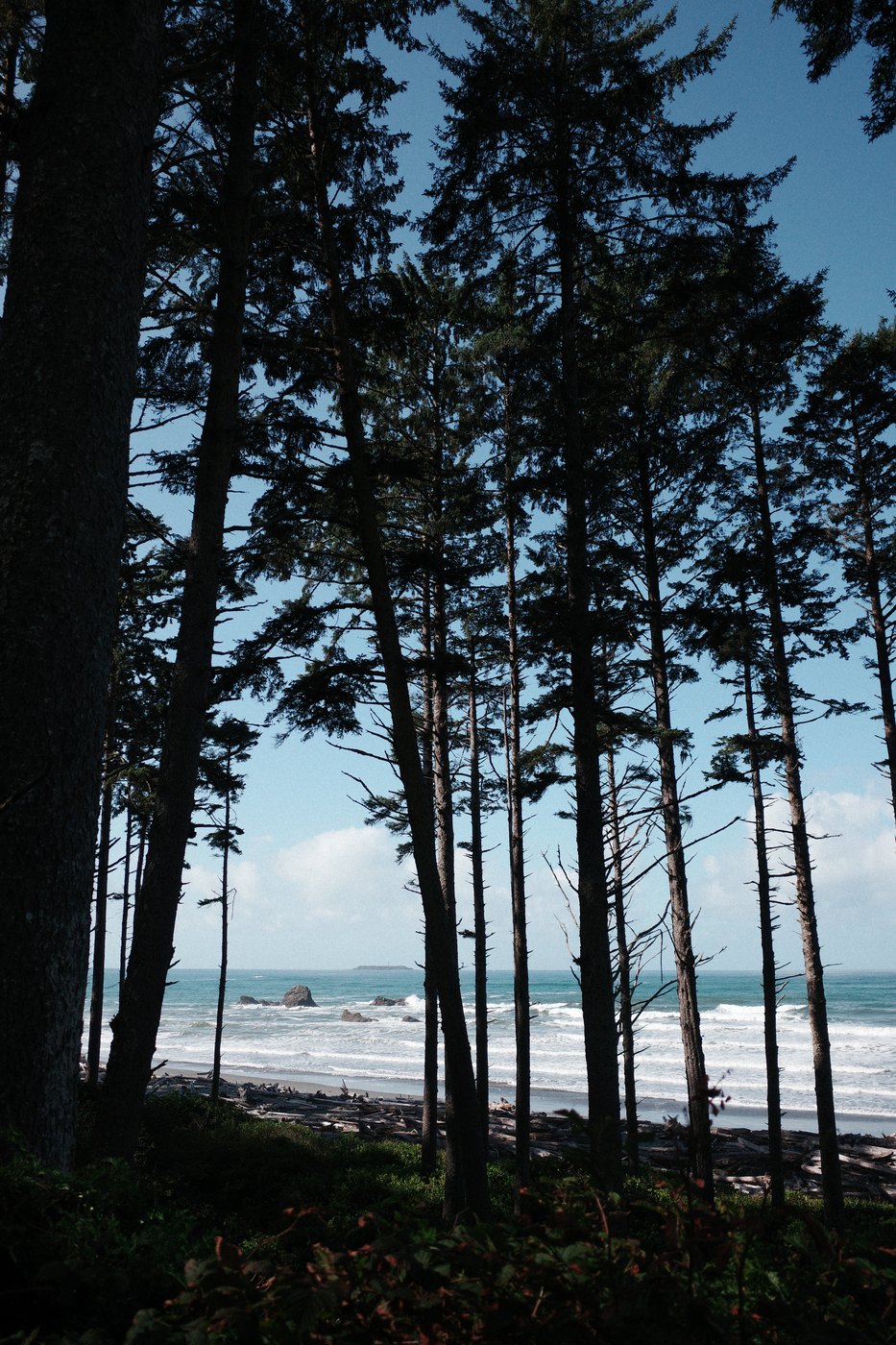 Pacific NW, photograph 43