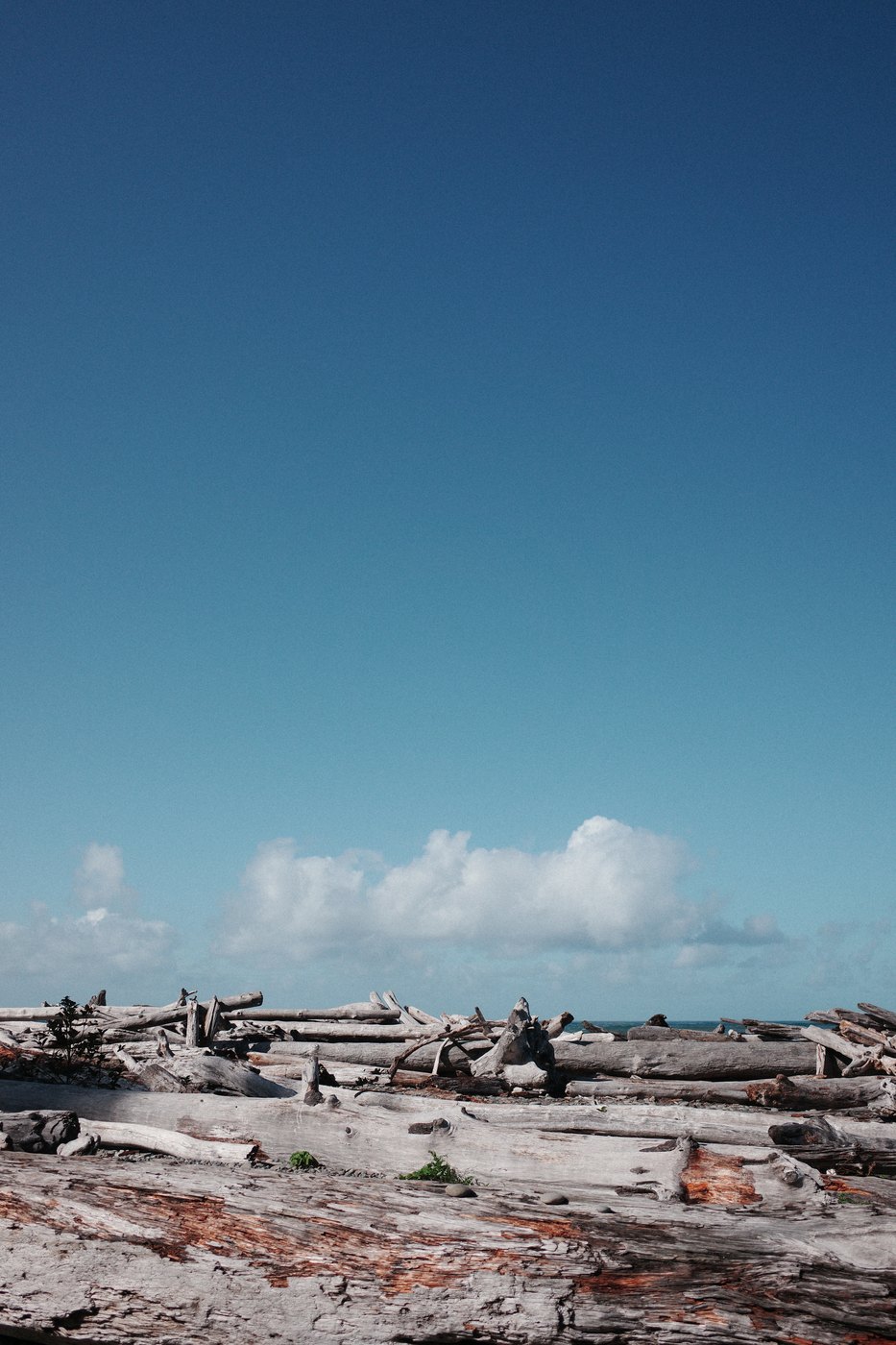 Pacific NW, photograph 44