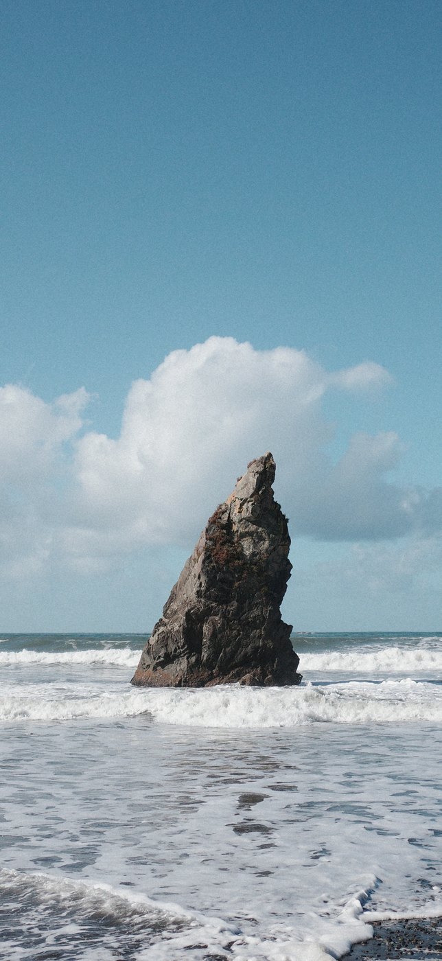 Pacific NW, photograph 51