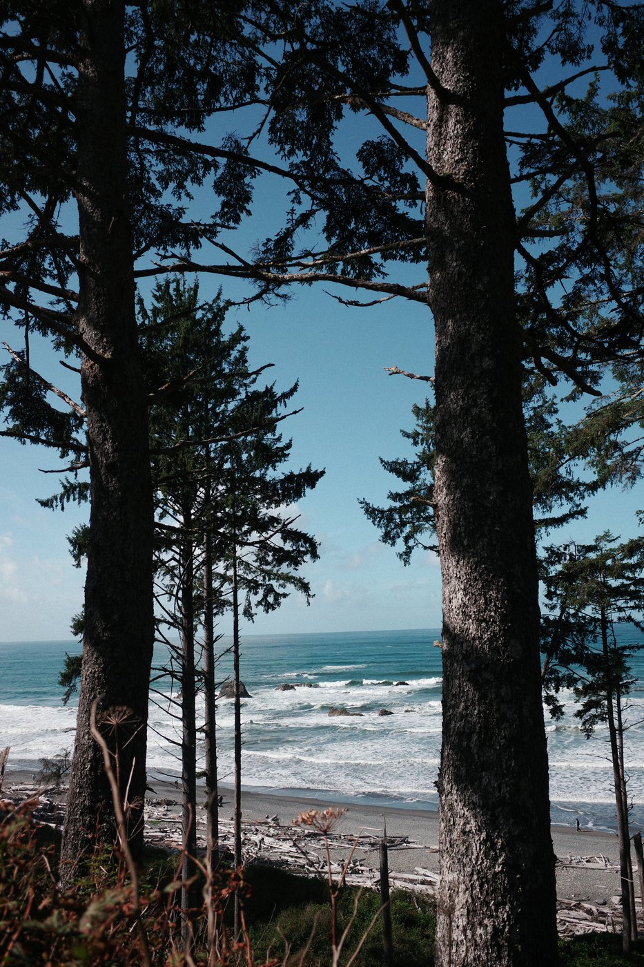 Pacific NW, photograph 55