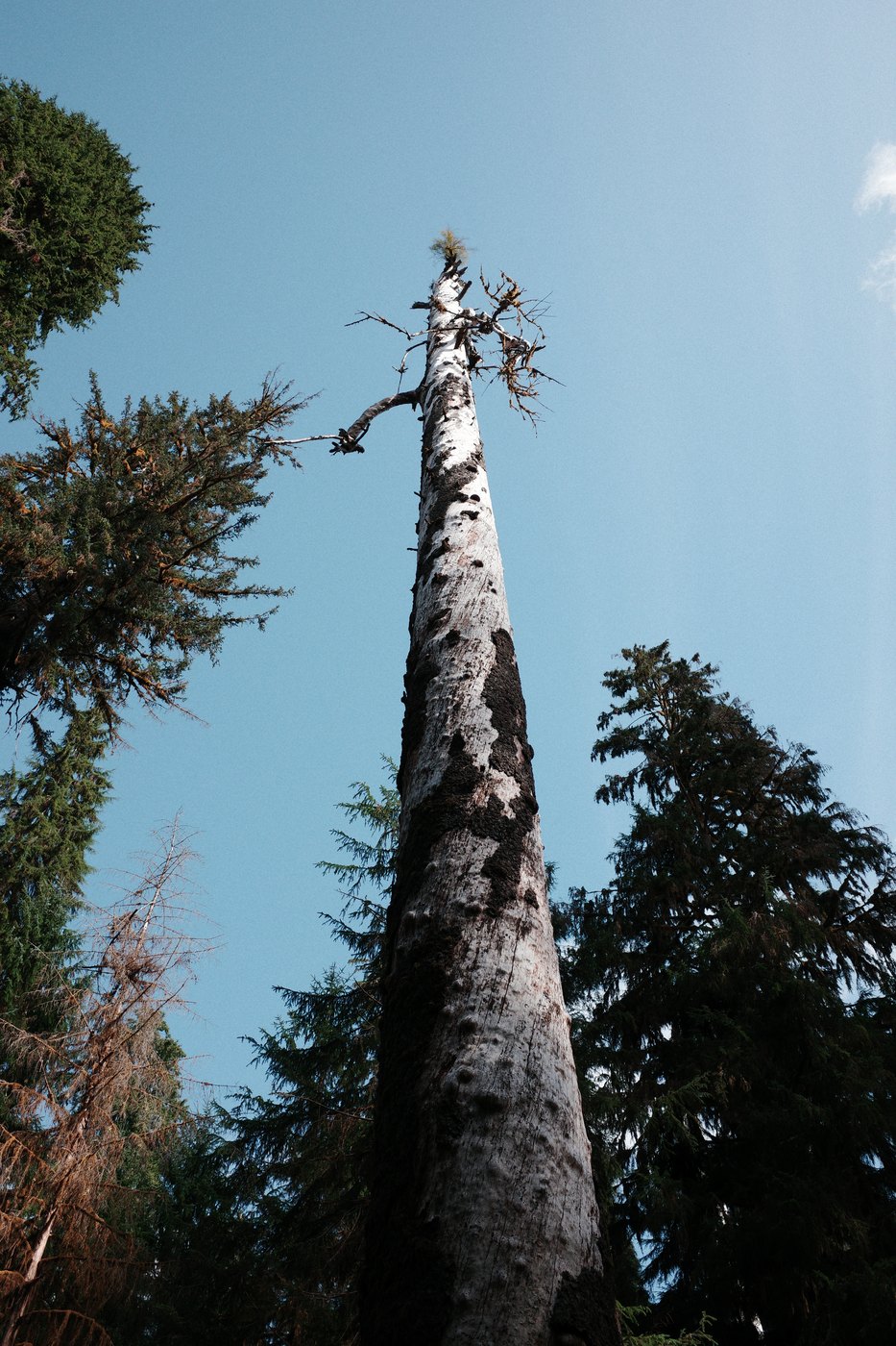 Pacific NW, photograph 56