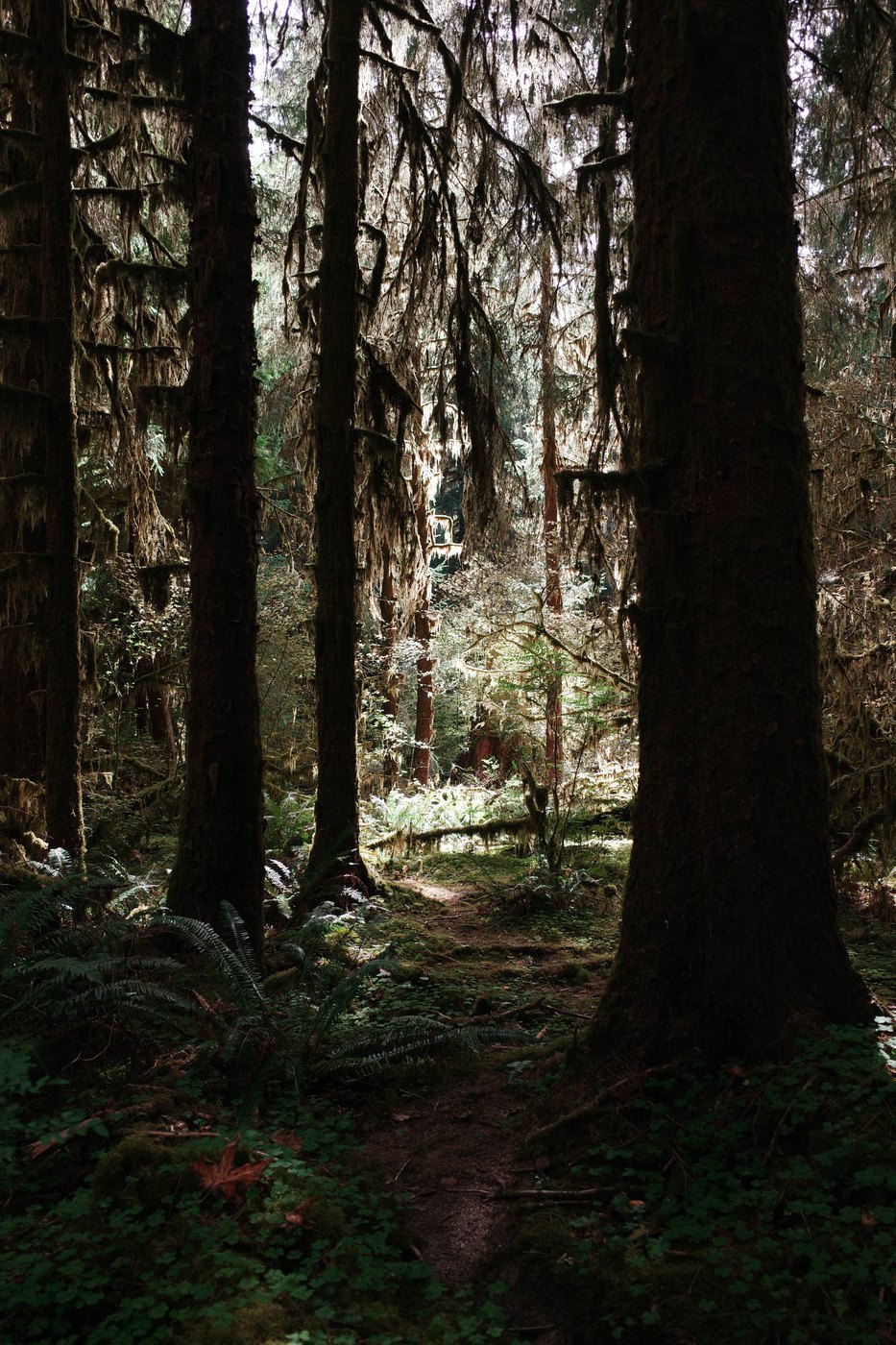 Pacific NW, photograph 58