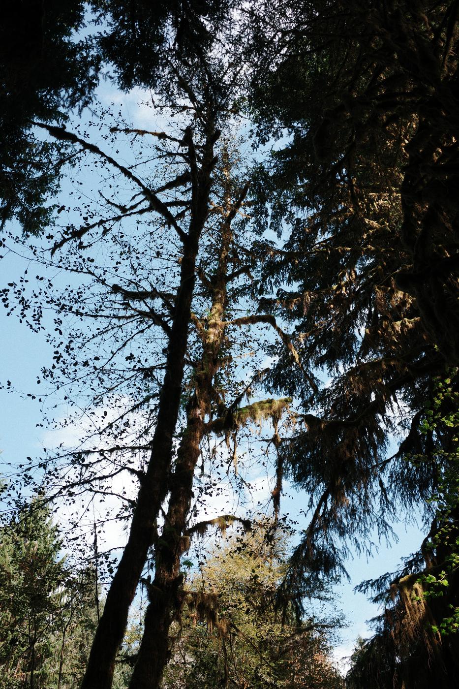 Pacific NW, photograph 64
