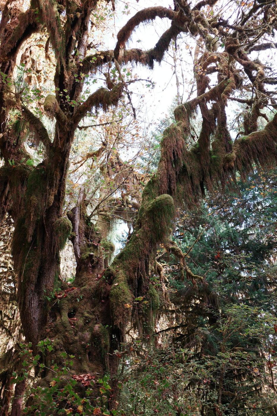 Pacific NW, photograph 65