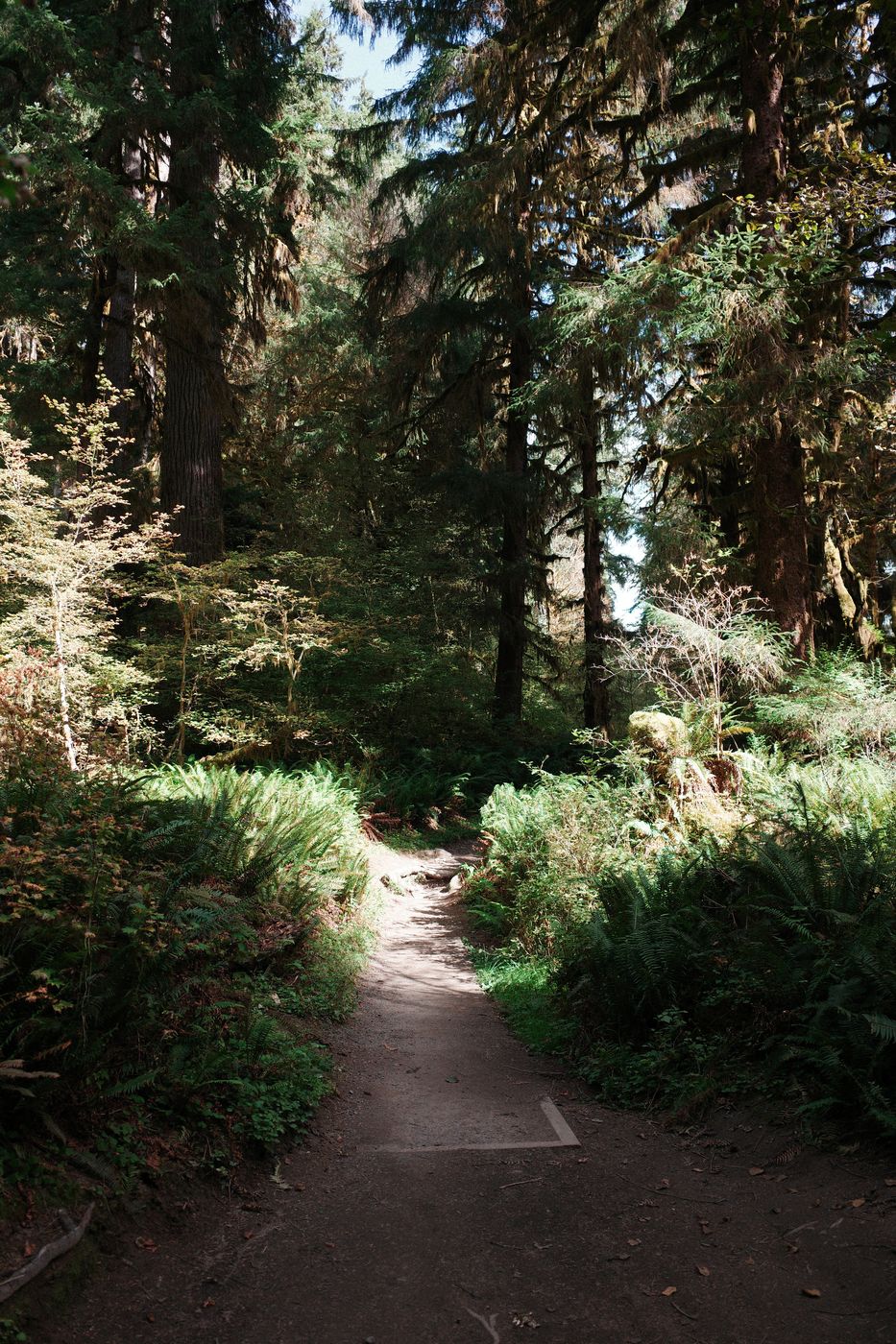 Pacific NW, photograph 67