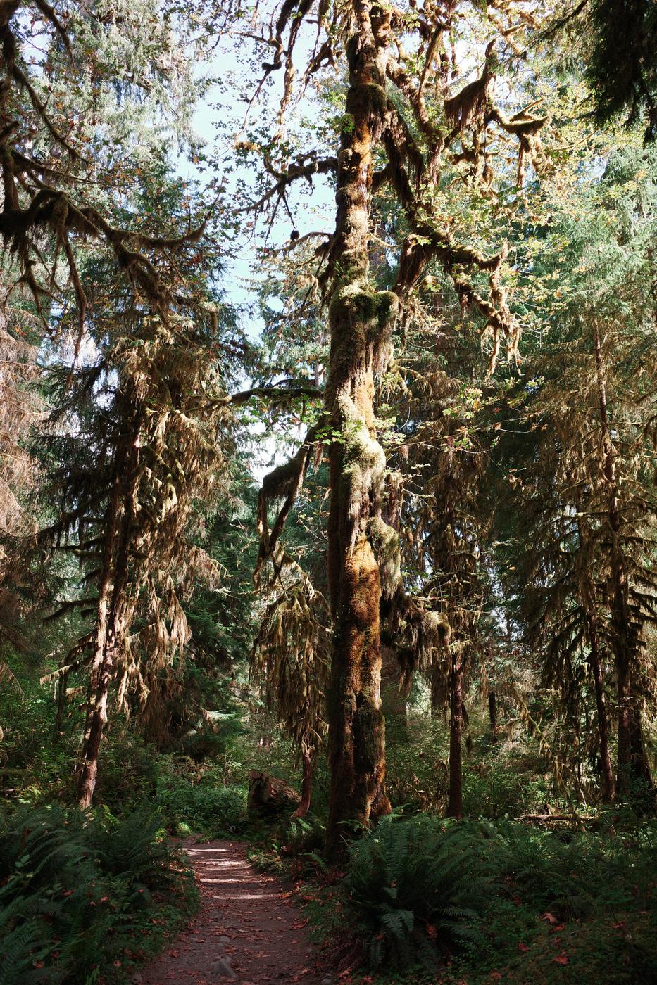 Pacific NW, photograph 69