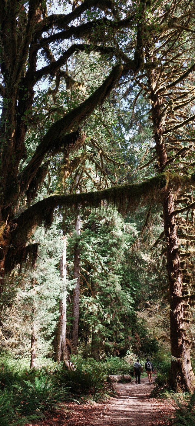 Pacific NW, photograph 72