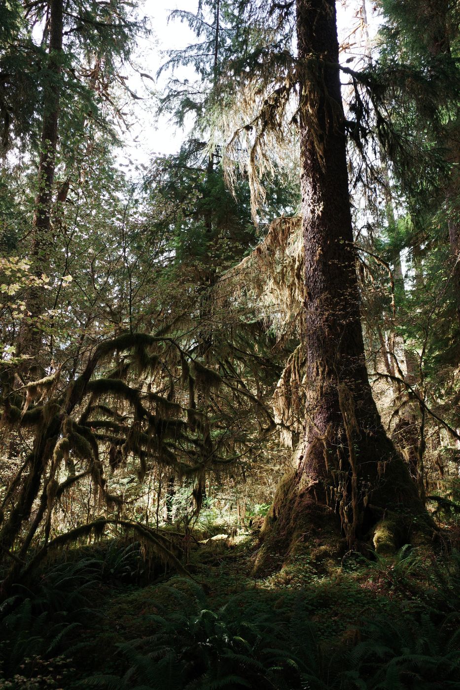 Pacific NW, photograph 75