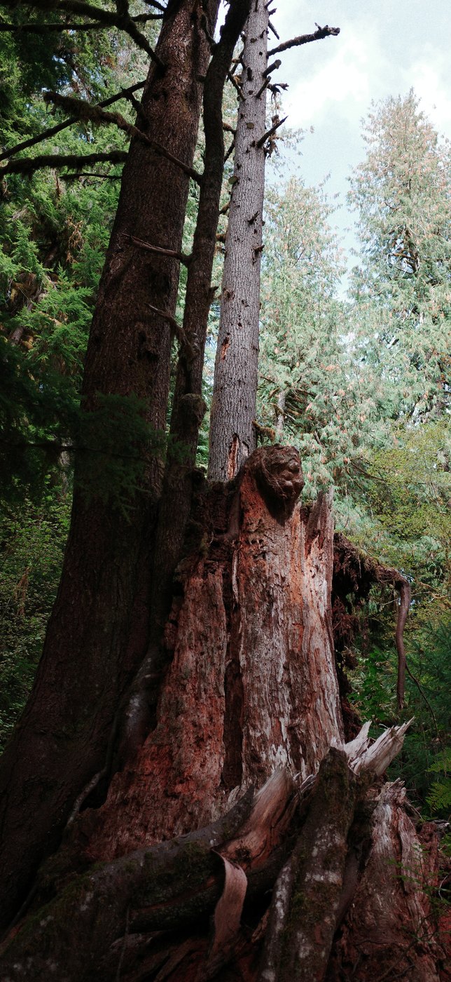 Pacific NW, photograph 76