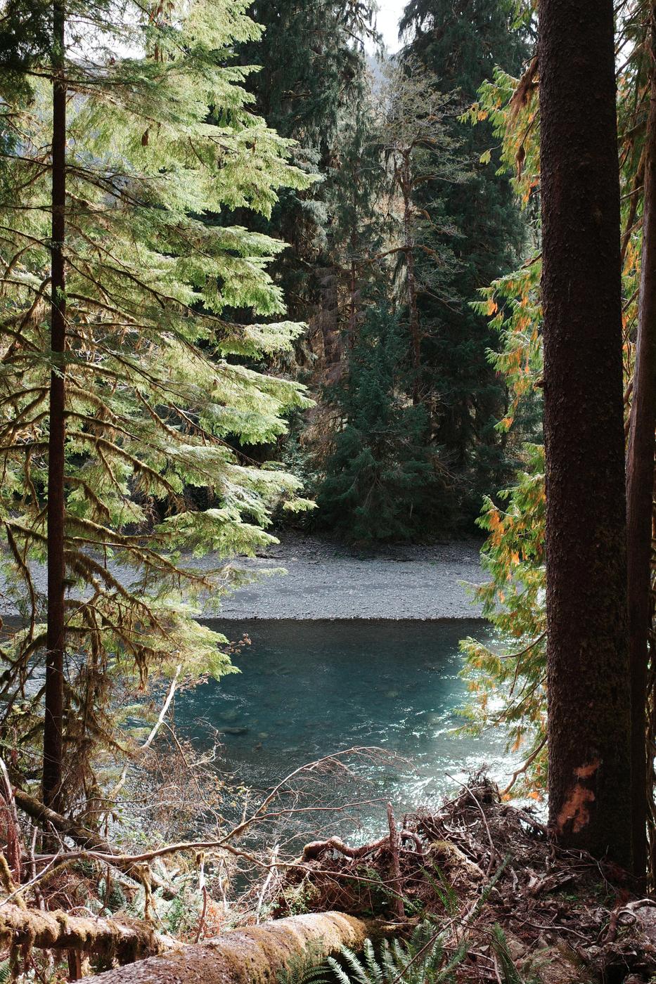 Pacific NW, photograph 80