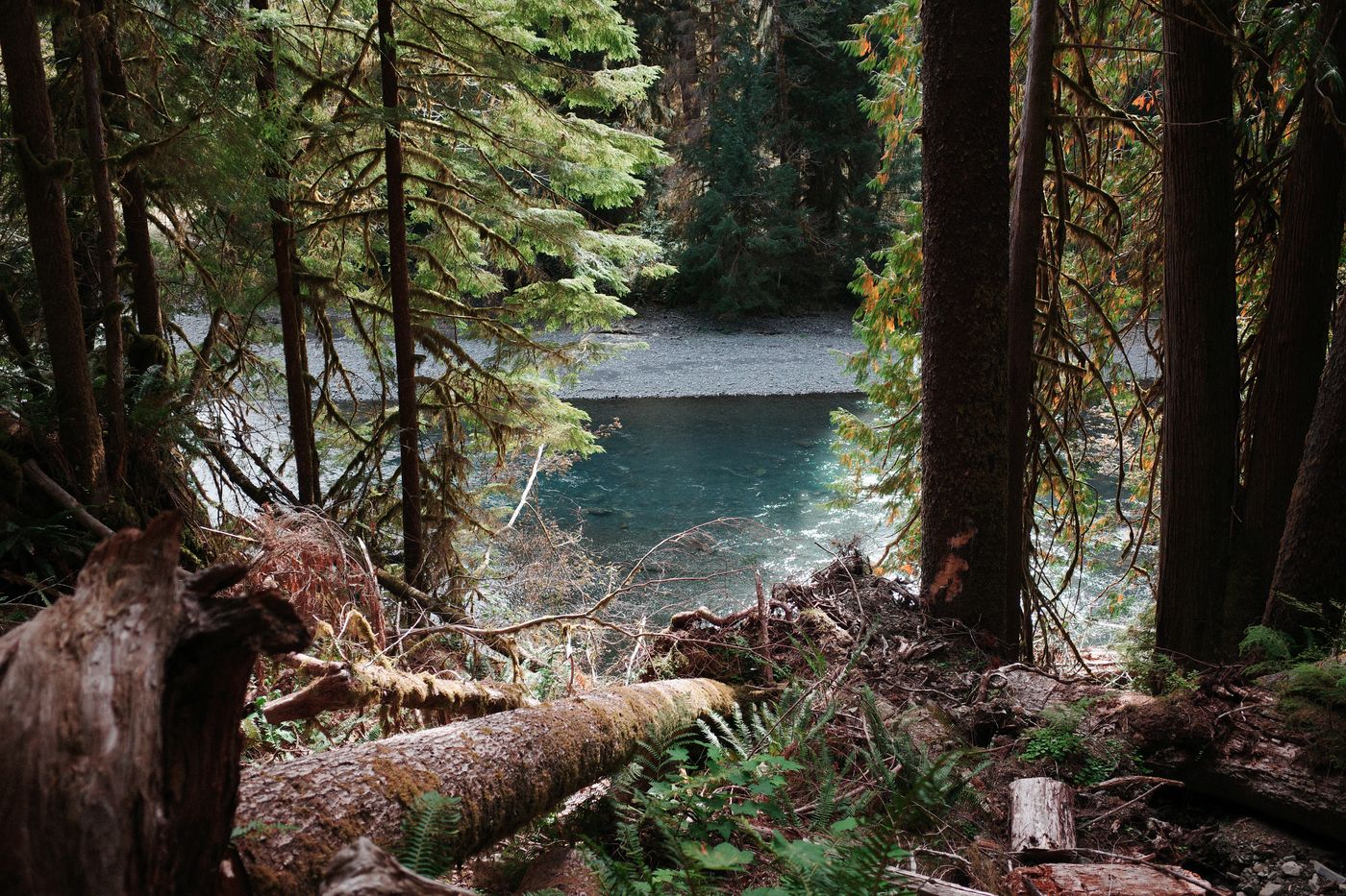 Pacific NW, photograph 81