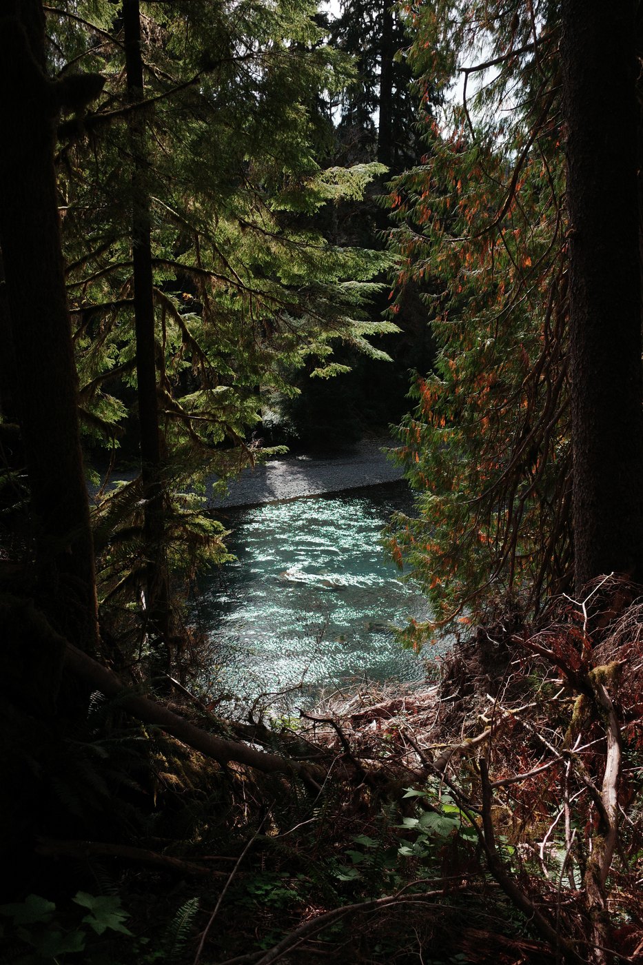Pacific NW, photograph 82
