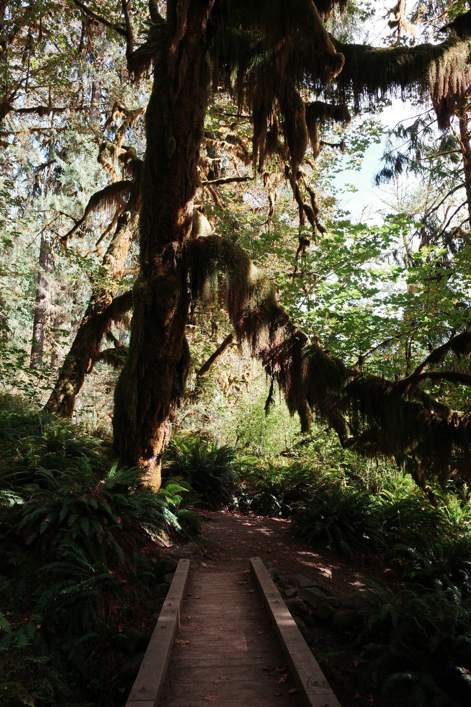 Pacific NW, photograph 84