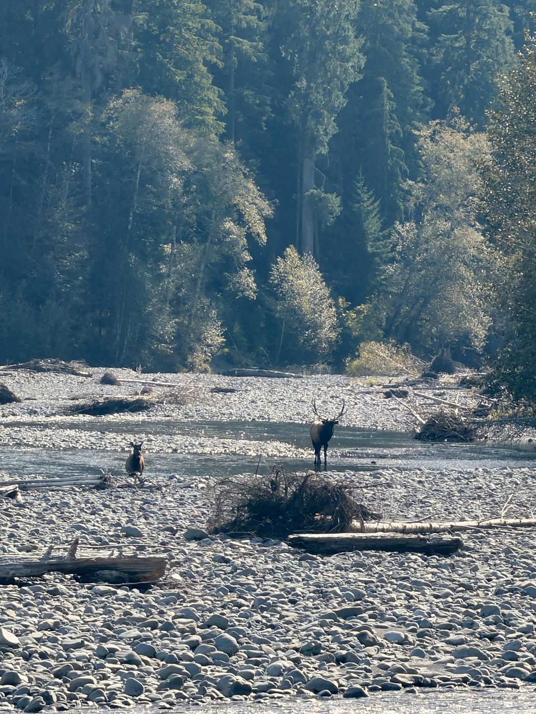 Pacific NW, photograph 94