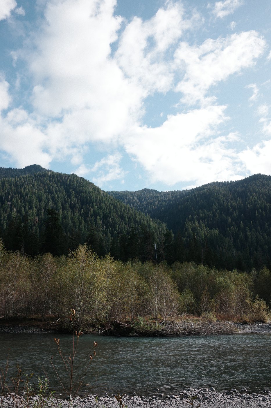Pacific NW, photograph 95