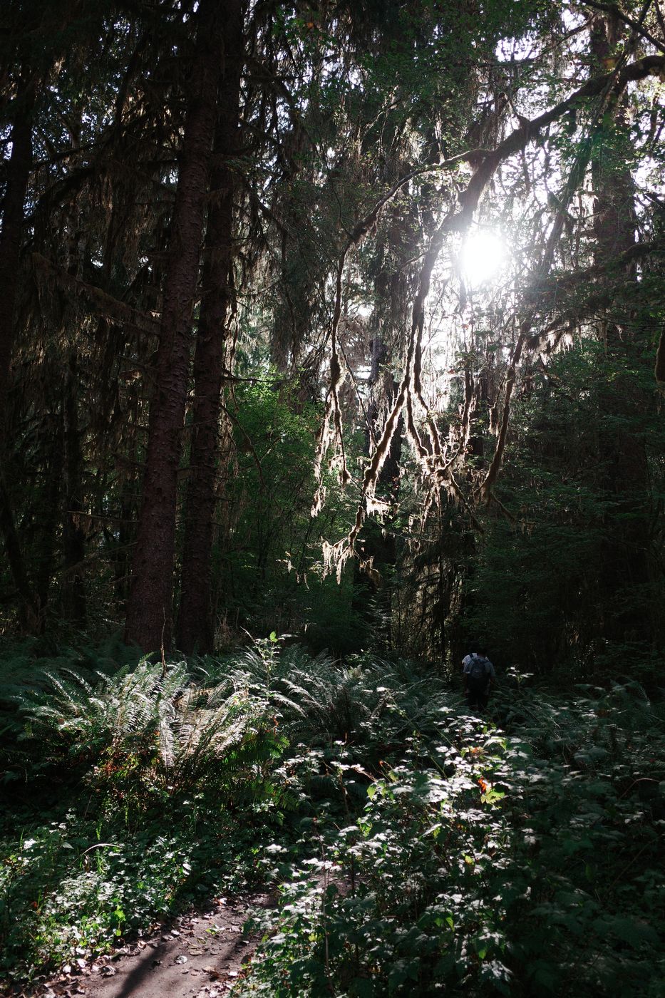Pacific NW, photograph 96